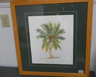Coconut Palm Print by Hal Moore