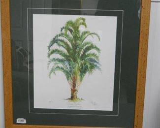 Florida Royal Palm Print by Hal Moore