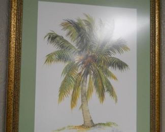 Coconut Palm Print by Hal Moore