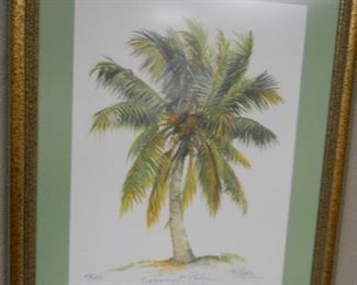 Coconut Palm Print by Hal Moore