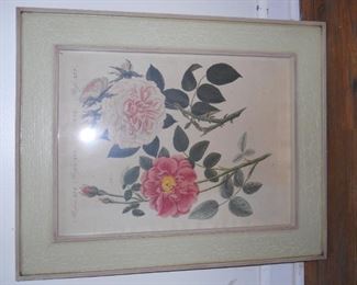 Bertuch 19th Century Print "French Roses"
