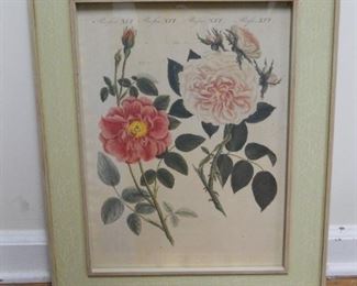 Bertuch 19th Century Print "French Roses"