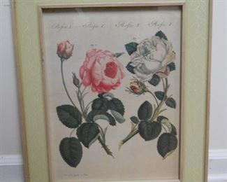 Bertuch 19th Century Print "French Roses"