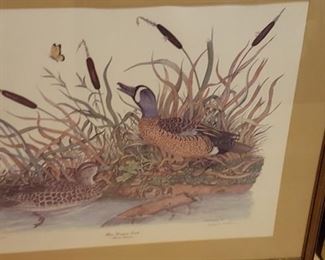 Limited edition signed duck waterfowl lithograph frame