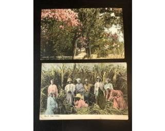 Jamaica/ Bermuda early postcards