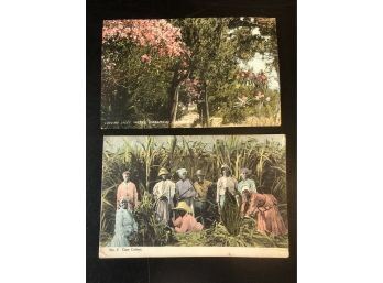 Jamaica/ Bermuda early postcards