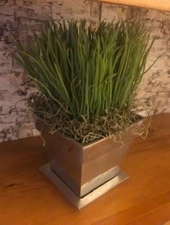 Pewter plant stand and pot, moss and artificial reeds