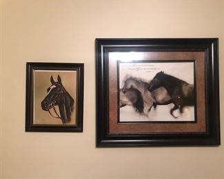 HORSE PICTURES
