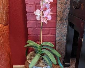 Silk Orchids