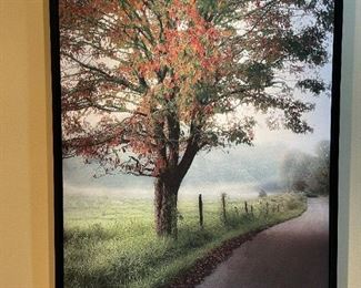 Tree Print on Stretched Canvas