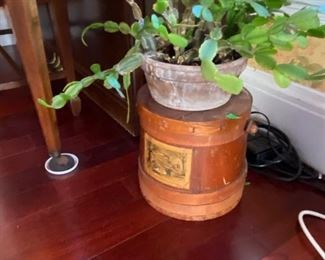 Firkin & Christmas Cactus