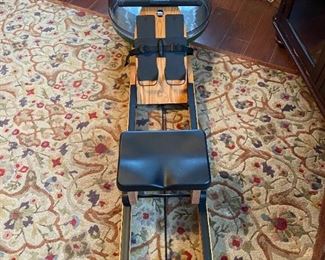 Deluxe Water Rowing Core Strength Builder                            YES! This carpet is for sale as well!