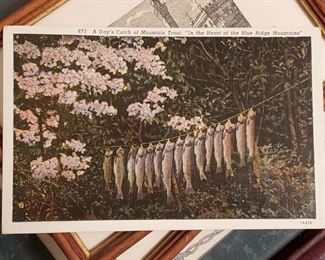 Huge collection of vintage postcards!