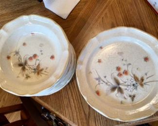 Mikasa Stoneware Dishes