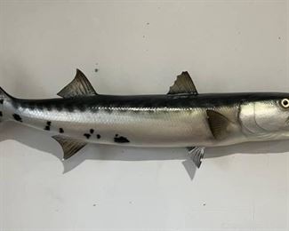 Barracuda Half Mount Fish Replica
