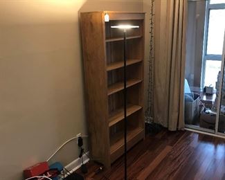 Bright LED Floor or Area Lamp