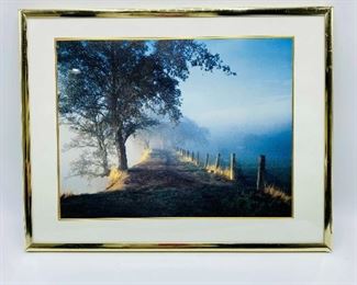 Morning Mist Framed Photo