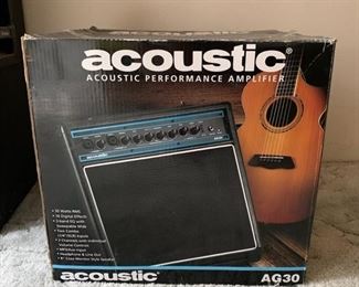 Acoustic Performance Amplifier AG30 in Box