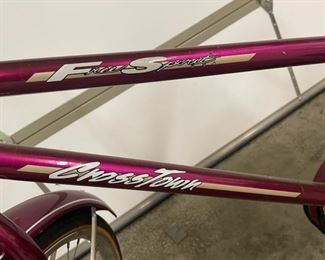 Woman's Free Spirit Cross Town Vintage Cruiser Single Speed Coaster Brake 26" Bike