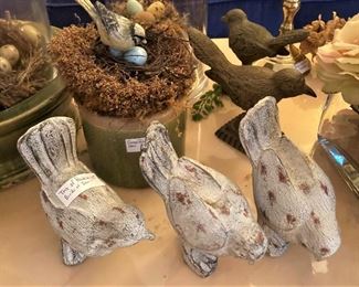 Birds and bird nests