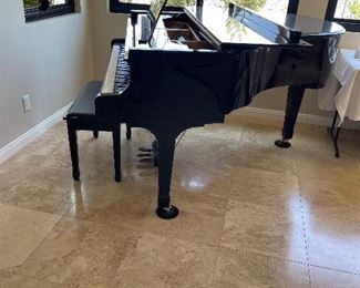 Grand Piano Story & Clark Prelude - with Player 