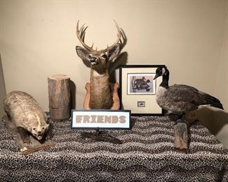 Lower Level:  Friends?  Anything is possible!  A full-body badger with open mouth on board; a deer head; and a Canadian goose on a limb are all separately priced.  Also for sale are the wooden stump; a framed Paul Scholer signed/numbered (6,133/17,400) "Pintails" stamp/print authorized by the U.S. Department of the Interiors; a FRIENDS sign; and an  iron trap [in front of the sign].