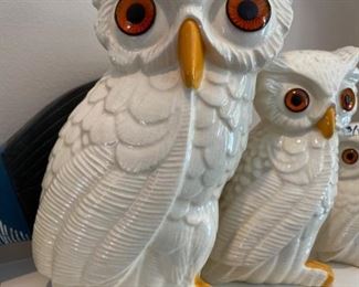 Vintage Owl Set