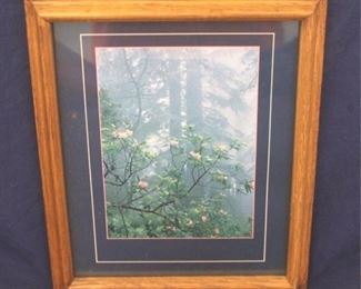 779 - Framed Print 9 x 11 1/4