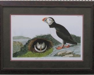 9005 - Puffin by John Audubon 32 1/2 x 24
