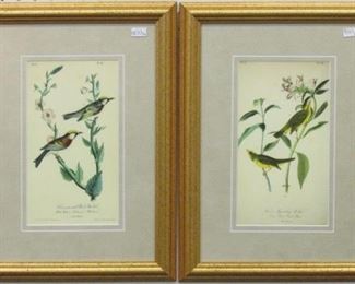 9023 - Set of 2 Antique Birds by John Audubon 17 1/4 x 12 1/2
