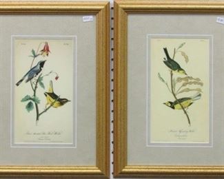 9024 - Set of 2 Antique Birds by John Audubon 17 1/4 x 12 1/2
