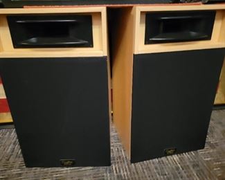 Digital Audio Speakers.