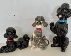 Awww...these are some pretty poodles and the largest measures 14 inches tall.