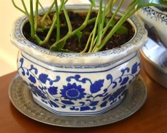 blue & white planter