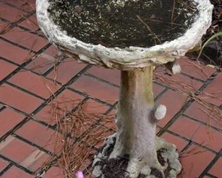 birdbath