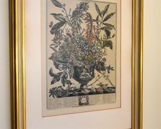 framed botanical print