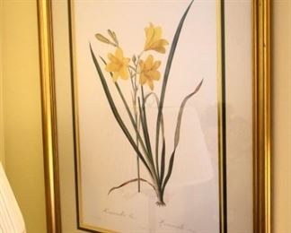 framed botanical