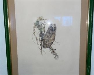 Vintage 1975 Owl Print!