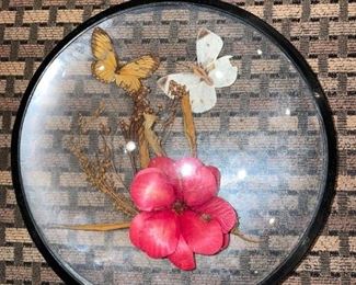 Vintage Framed Butterflies & Flower!