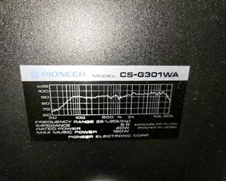 Pioneer, Speakers, CS-G301WA