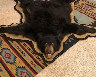 Bear skin rug in perfect condition
