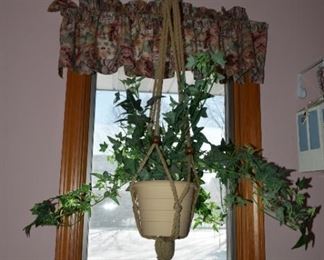 45 hanging plant