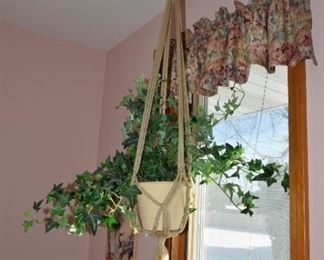 46 hanging plant