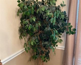 One of several artificial ficus trees