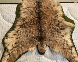 Bobcat rug