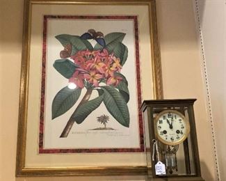 Companion botanical; clock; coffee table books