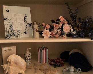 Shell . . . star fish