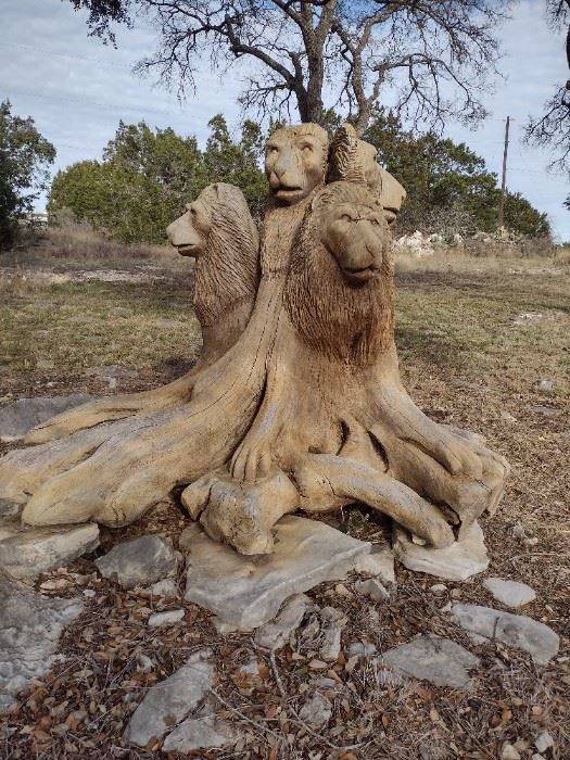 Carved lion pride from Cypress stump from Florida