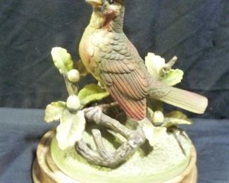 2 Cardinals - Andrea by Sadek