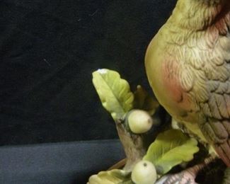 2 Cardinals - Andrea by Sadek